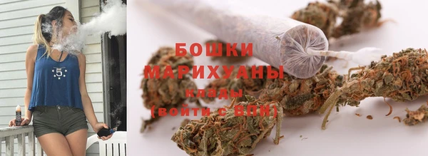 ГАЛЛЮЦИНОГЕННЫЕ ГРИБЫ Белокуриха