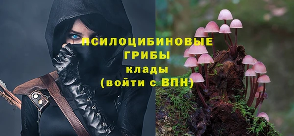 ГАЛЛЮЦИНОГЕННЫЕ ГРИБЫ Белокуриха