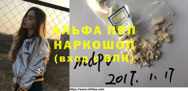 ГАЛЛЮЦИНОГЕННЫЕ ГРИБЫ Белокуриха