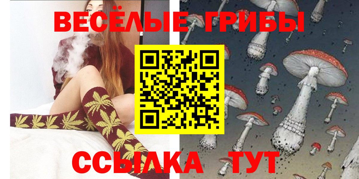 Гусев  Псилоцибиновые грибы Cubensis  Галлюциногенные грибы Magic Shrooms  Вход с VPN 