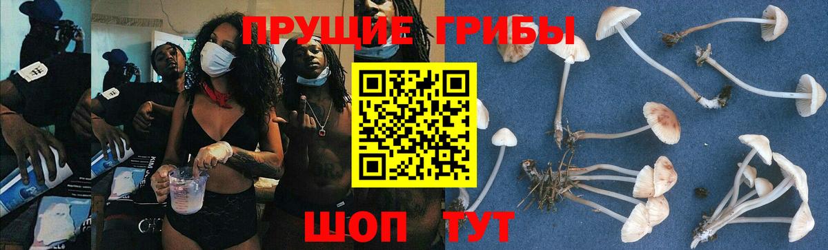 Галлюциногенные грибы ЛСД Гусев