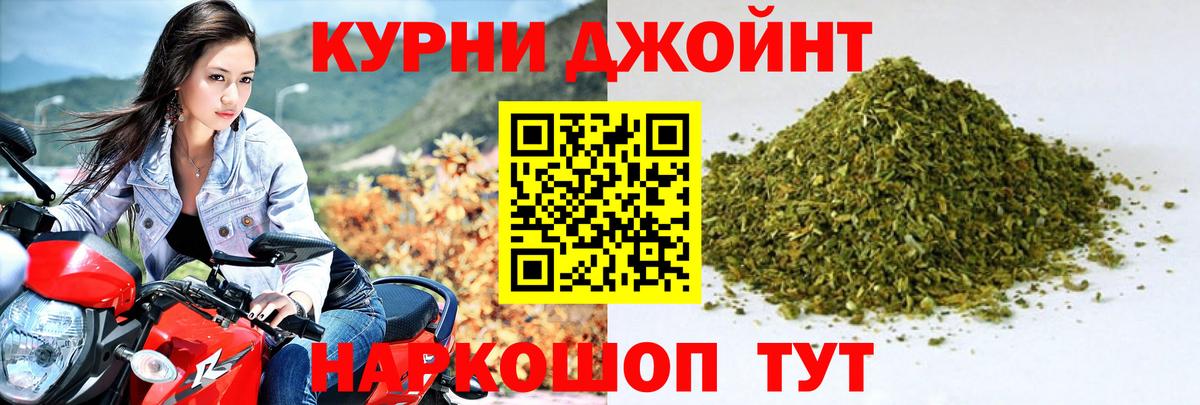Бошки Шишки MAZAR Гусев